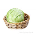 /msite/products/detail/productid/56376800/id/572588.html